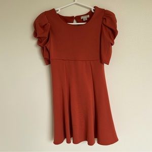 Adorable Girls Puff Sleeve Dress